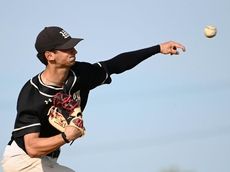 Wantagh lefthander Danzilo dazzles in win over Clarke