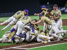 Shane Meehan's home run propels Sayville in state 'A' Regional final