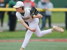Diamond Stars: Top accomplishments in Long Island baseball and softball
